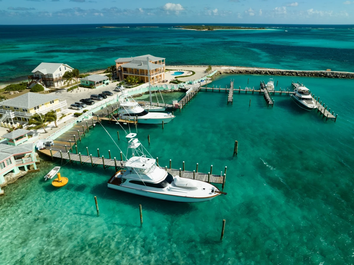 Brian Hooker, obywatel USA, został zwolniony z aresztu bez postawienia zarzutów w sprawie zaginięcia jego żony Lynette Hooker – podaje CNN. Mężczyzna był w centrum śledztwa prowadzonego w sprawie kobiety, która od 25 lat była jego partnerką, a w trakcie wspólnego rejsu po Bahamach miała wypaść za burtę.