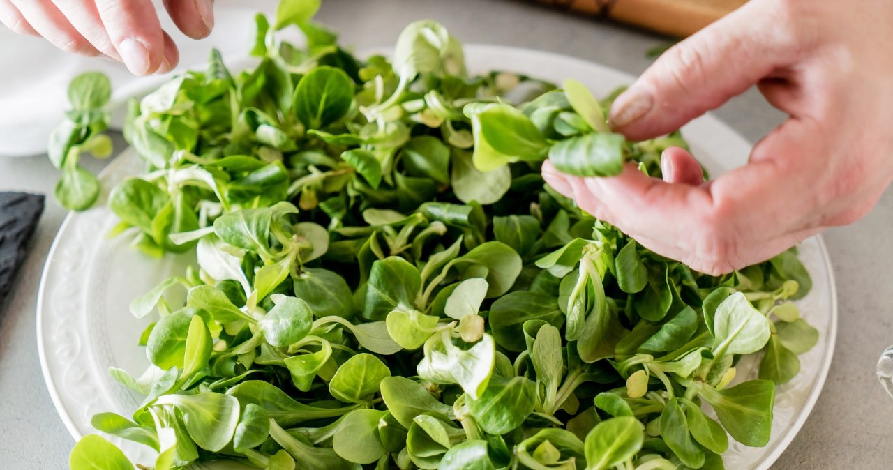 Zielona skarbnica witamin. Dobra na diecie, ochroni serce i zatrzyma młodość