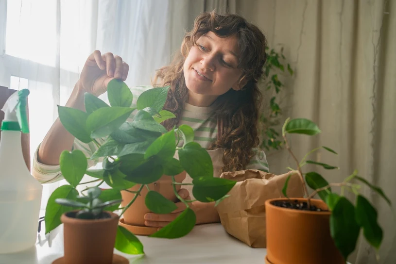 Hortitherapy: How Gardening Reduces Stress and Boosts Mental Health