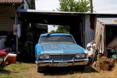 Niechciani w Gas Monkey