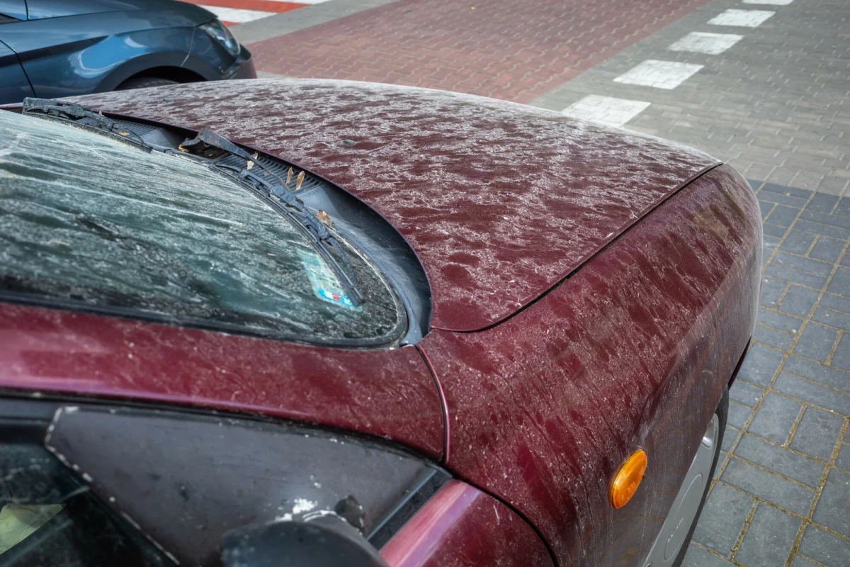 Nad Polskę znów dotarł pył saharyjski, zostawiający żółty osad chociażby na samochodach czy parapetach. Pył pojawił się nad Tatrami, gdzie napłynął wraz z masami powietrza z północno-zachodniej Afryki. 