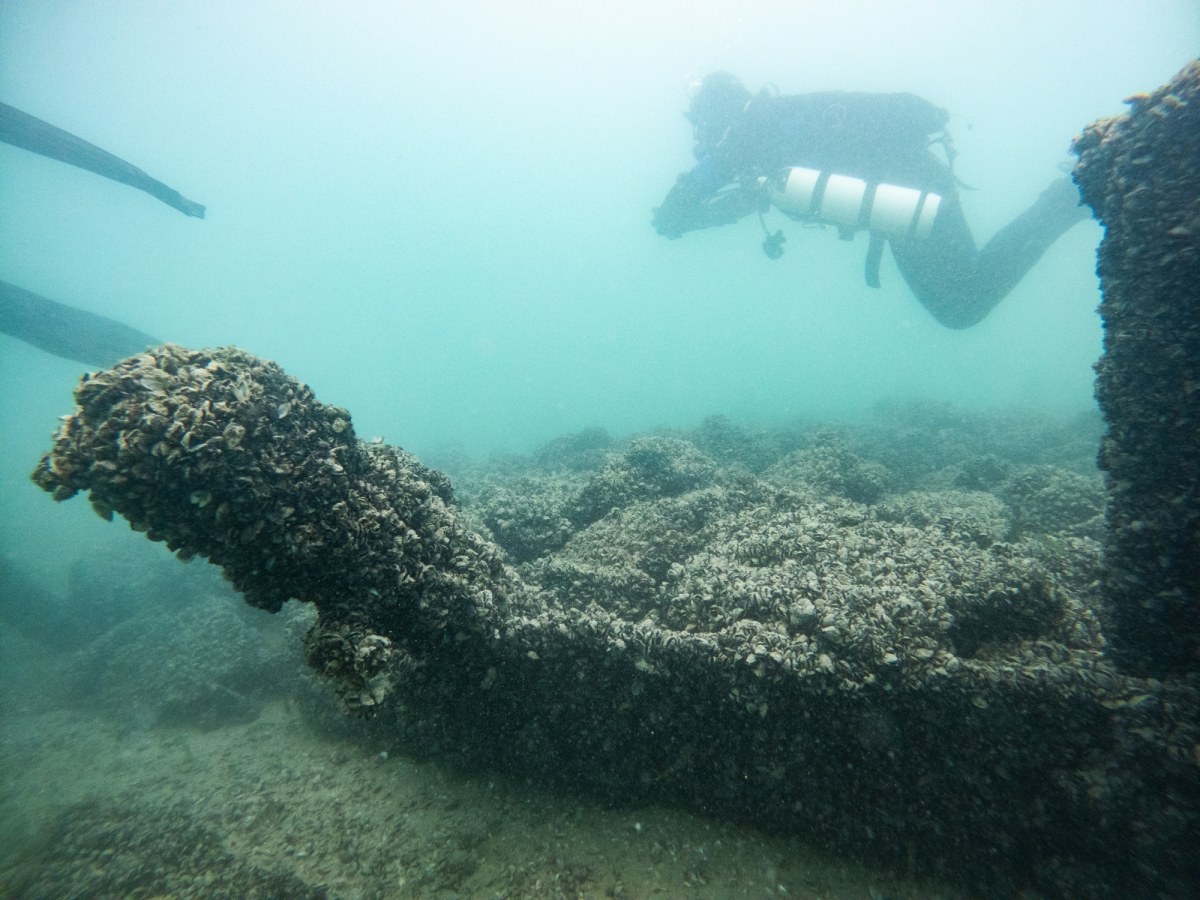 Spektakularne odkrycie pod wodą. Archeolodzy wydobyli skarb sprzed dwóch tysięcy lat