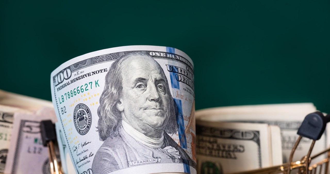 Gorsze dni waluty Amerykanów. "Przestaje być gwarantem światowego ładu"