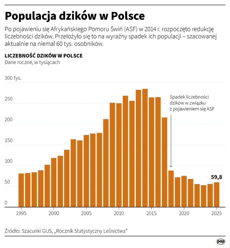 /Mateusz Krymski /PAP