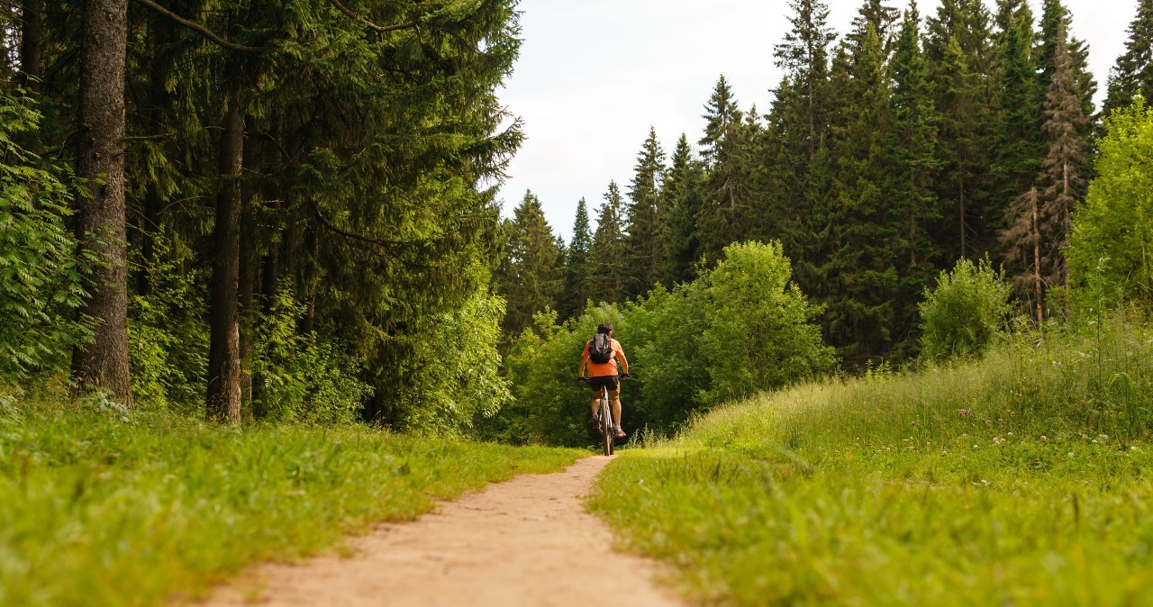 Ponad 120 km ścieżki rowerowej. Amatorzy dwóch kółek będą zachwyceni
