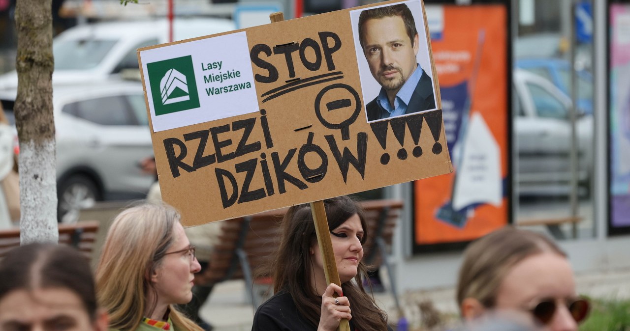 „Dzik jest dobry, ratusz zły”. Wielki protest w Warszawie „Dzik jest dobry, ratusz zły”. Wielki protest w Warszawie