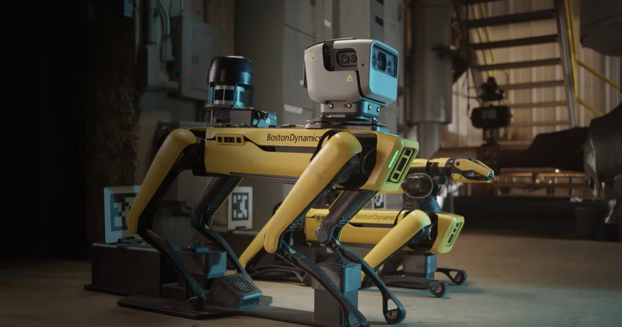 Robopies dozbrojony w sztuczną inteligencję Google Gemini. Jak sobie radzi?