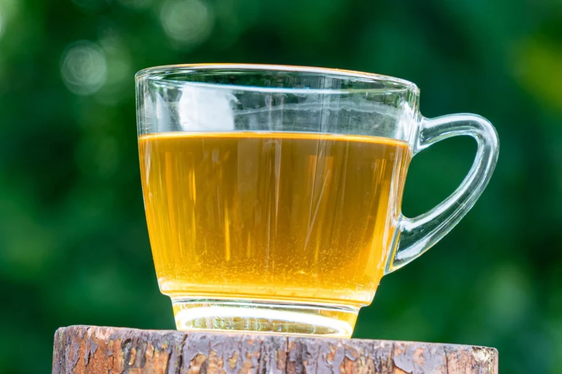 Wiosenny żółty krzew to nie tylko ozdoba. Ma cenne flawonoidy