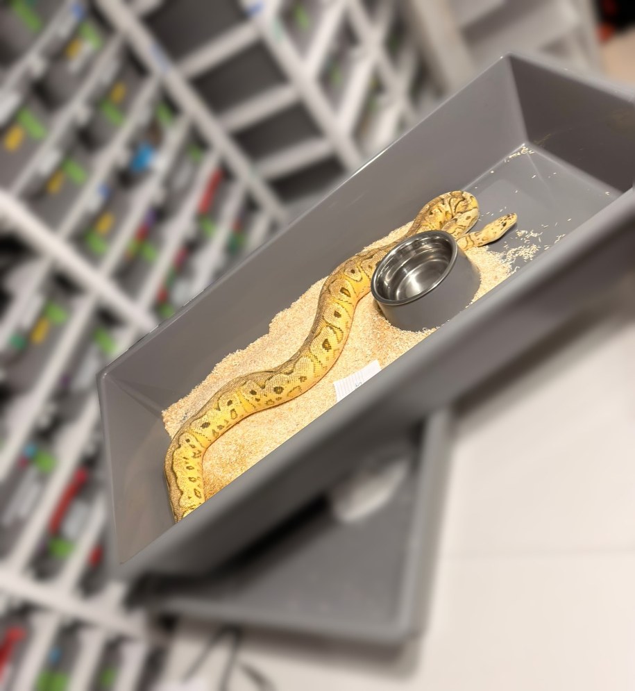 /Małopolska Policja /