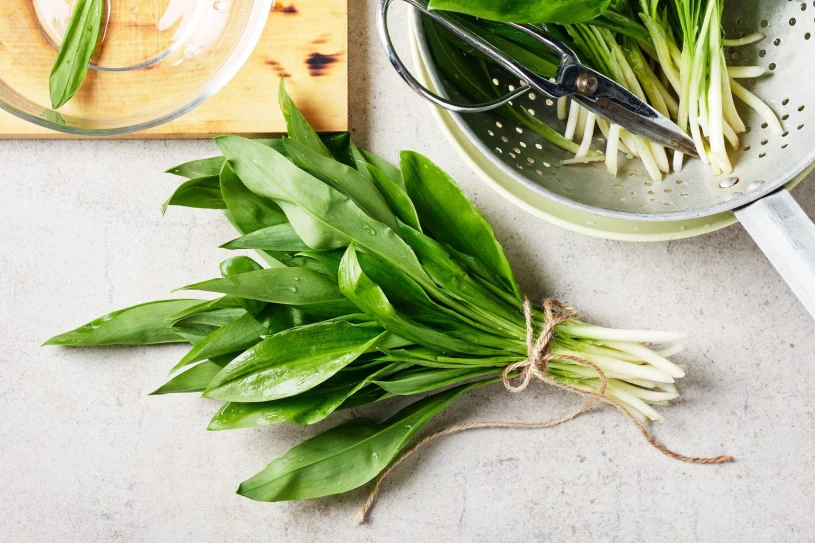 Oto leśny skarb. Obniża poziom cholesterolu i wspiera organizm