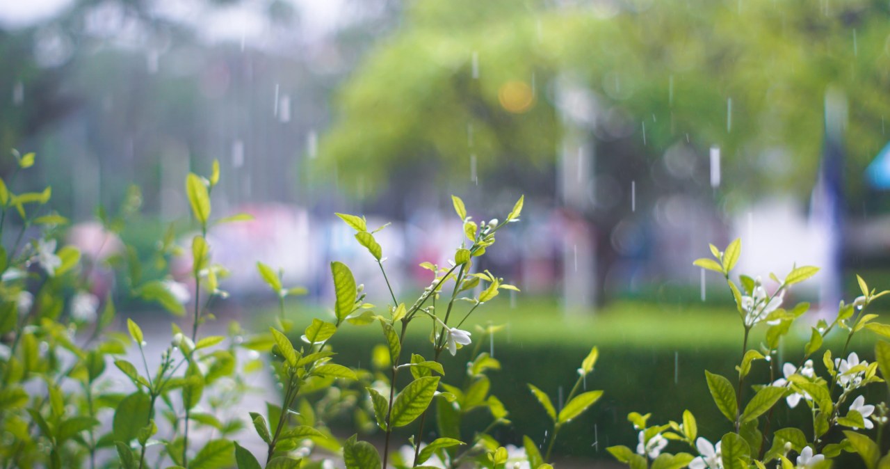 Deszcz na początku maja budzi niepokój. Dawniej mówiono o trudnym czasie
