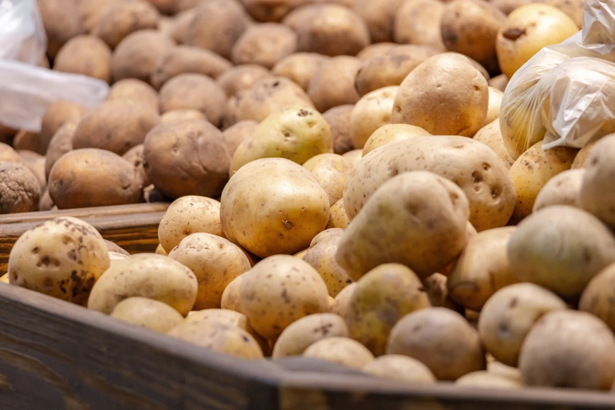 ​"Rolnicy mają od 700 tys. do 1 mln ton niesprzedanych ziemniaków, konieczne jest ich zagospodarowanie, inaczej producentom grozi bankructwo" - wskazał prezes Polskiej Federacji Ziemniaka (PFZ) Tomasz Bieńkowski. Problemem jest m.in. niekontrolowany napływ ziemniaka z innych krajów UE powodujący efekt nadpodaży. MRiRW poinformowało, że rozmawia w tej sprawie z przedstawicielami branży.