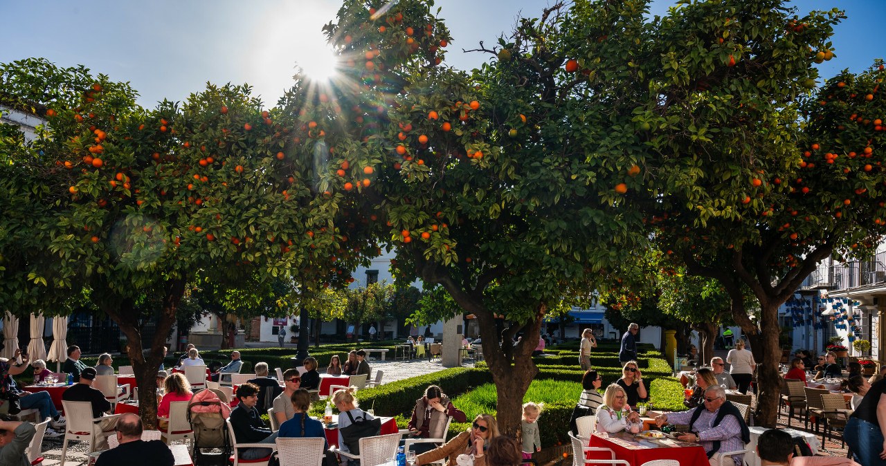 Szukają mieszkań za 5 tys. tygodniowo. Teraz przyjeżdżają do Europy