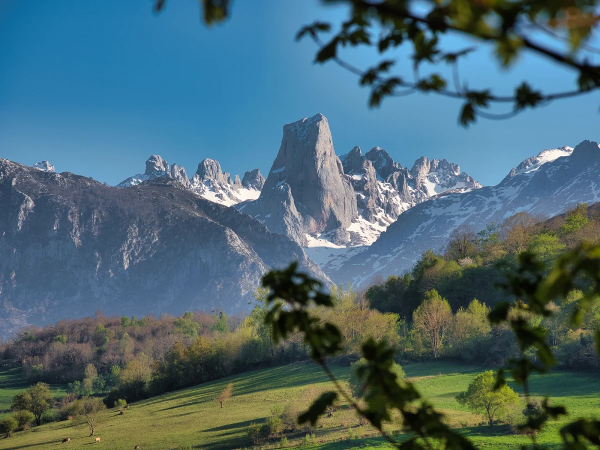 Północna Hiszpania, znana z zielonych wzgórz, malowniczych wybrzeży i bogatej kultury, skrywa w swoim sercu prawdziwy klejnot natury. Park Narodowy Picos de Europa, rozciągający się na pograniczu Asturii, Kantabrii, Kastylii i León, to miejsce, które w ostatnich latach coraz częściej pojawia się na ustach podróżników i ekspertów od turystyki. Magazyn "Time Out" nie miał wątpliwości, przyznając mu tytuł najpiękniejszego miejsca na świecie. Co sprawia, że to właśnie ten park zdobył tak prestiżowe wyróżnienie?
