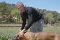 Luis Enrique: Nie macie k**** pojęcia