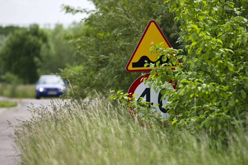 Zasłonięty znak, a policja daje mandat? Możesz go nie przyjąć