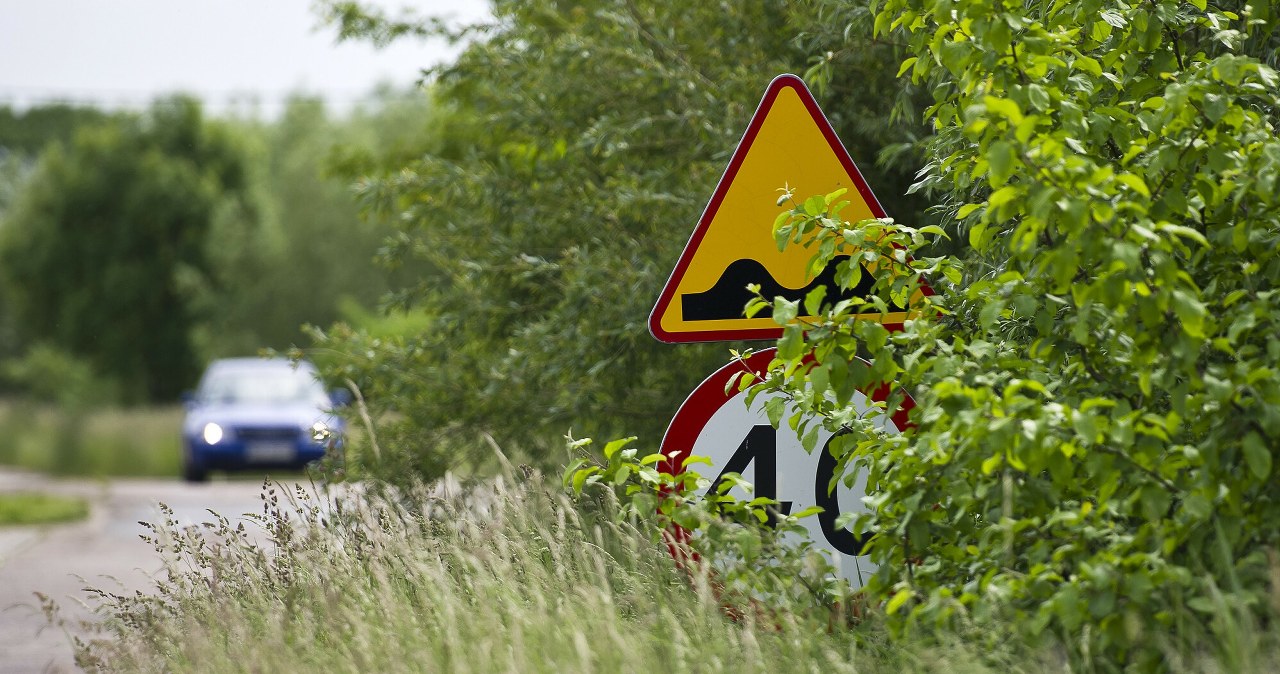 Zasłonięty znak, a policja daje mandat? Możesz go nie przyjąć