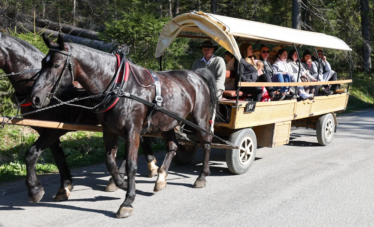 Tatrzański Park Narodowy zdecydował, że konie na razie zostają na trasie do Morskiego Oka i to dorożki będą woziły turystów w czasie majówki. Wspomóc mają je cztery busy elektryczne.