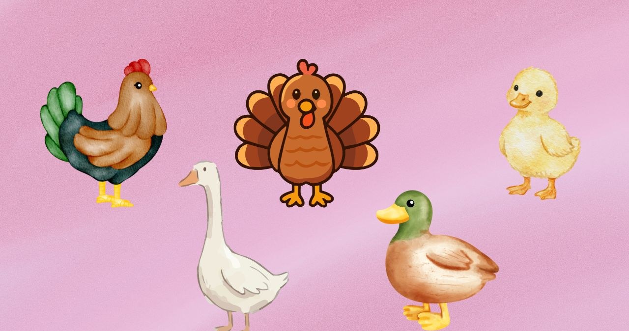 Psychotest: Co czyni cię wyjątkowym? Twój wybór wiele zdradzi