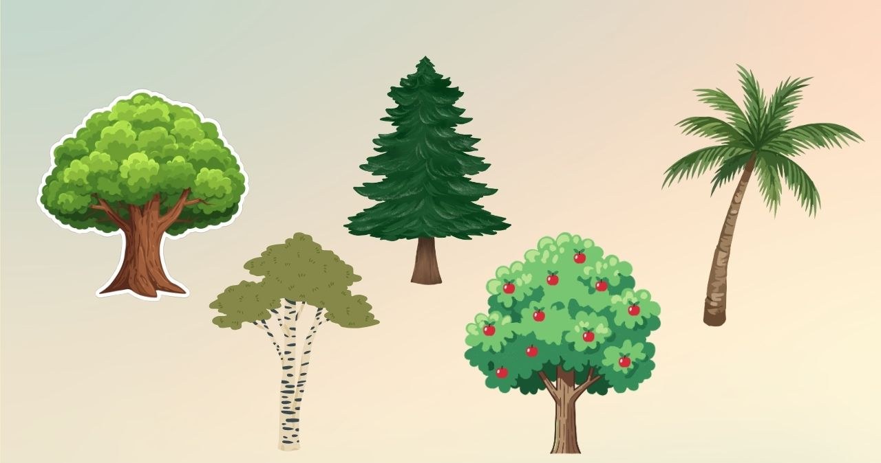 Psychotest: Czym kierujesz się w życiu? Poznaj swoje wartości