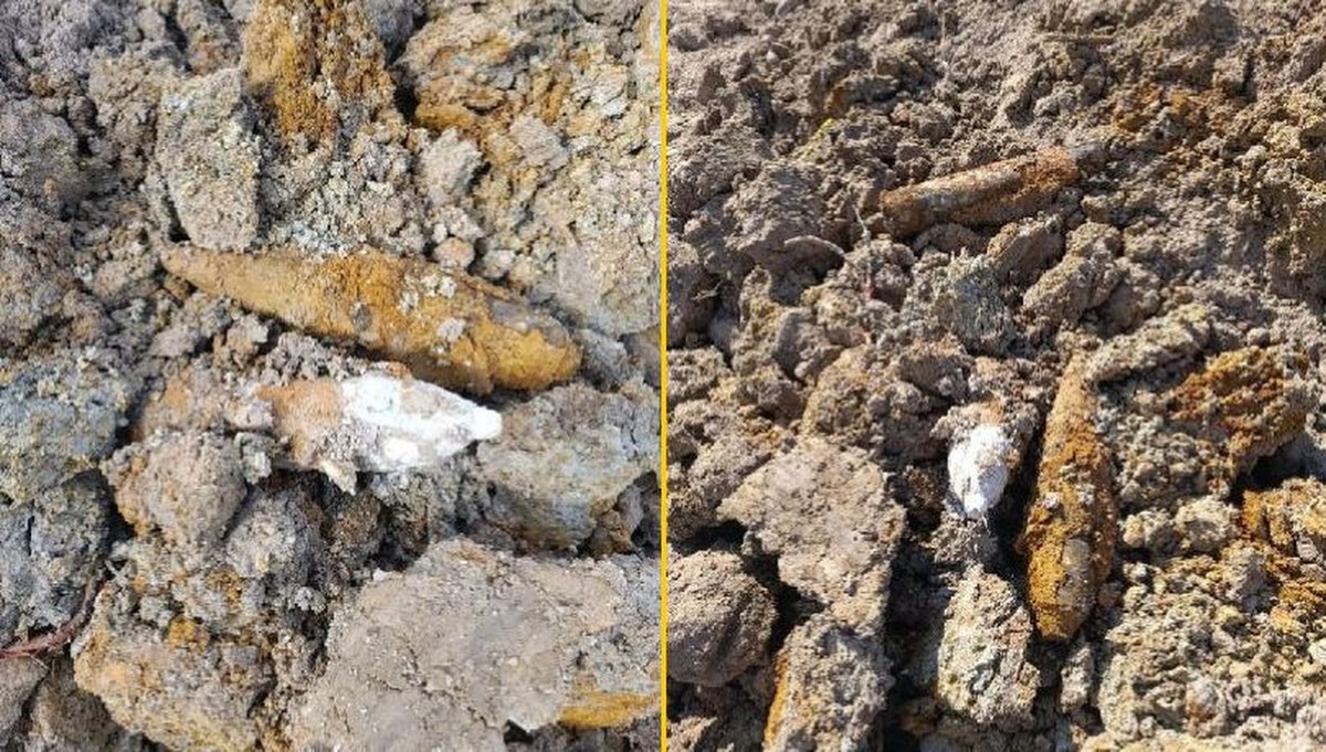 Szokujące odkrycie na działce na Mazowszu. Saperzy znaleźli kilkadziesiąt pocisków z II wojny światowej