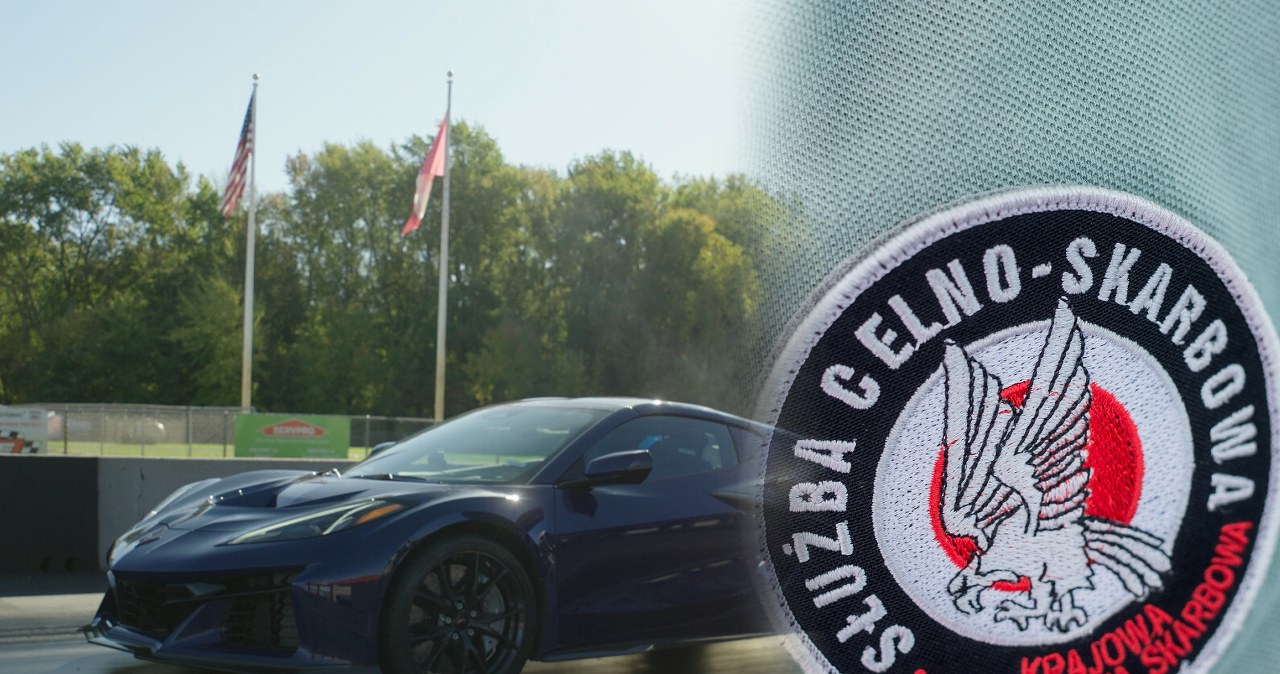 Luksusowe auta były wywożone z Polski do Rosji. Dotkliwa kara dla spółki