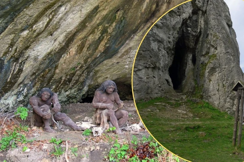 Niezwykłe znalezisko w jaskini na Śląsku. Ma około 100 tysięcy lat