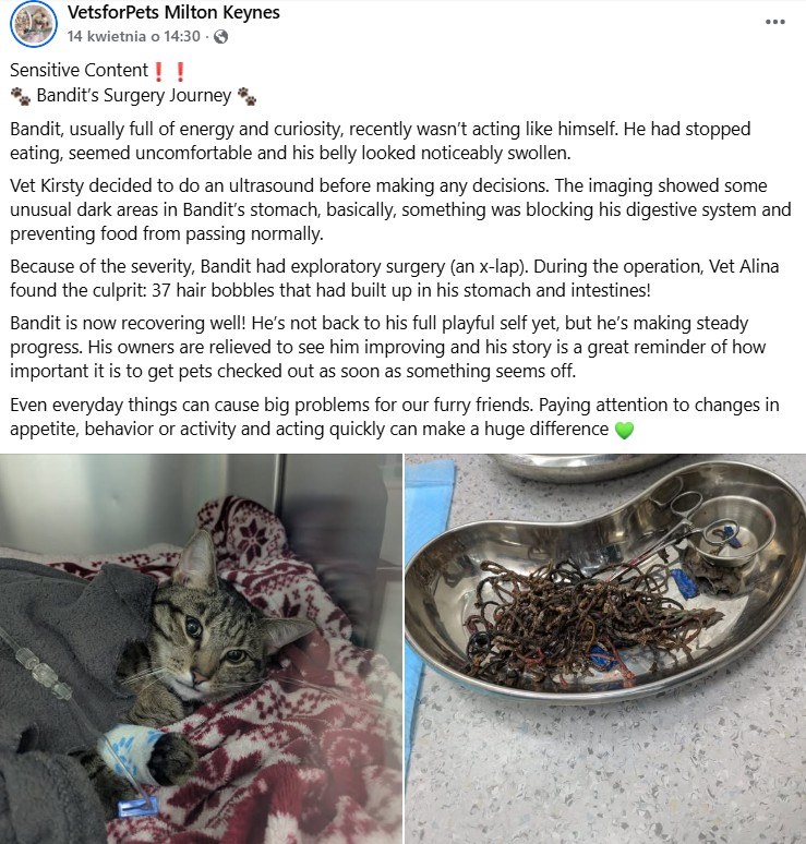 /VetsforPets Milton Keynes/Facebook