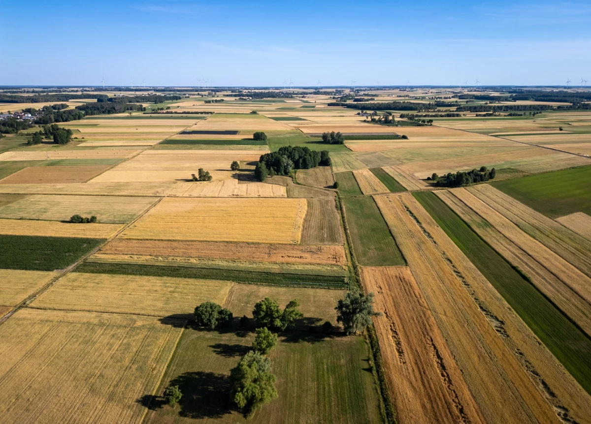 Czy można przeoczyć całą wieś? W przypadku Sławienka w województwie śląskim to całkiem możliwe. Najmniejsza wieś w Polsce pod względem powierzchni liczy zaledwie 0,3 kilometra kwadratowego i mieszka w niej… tylko dziewięć osób. 