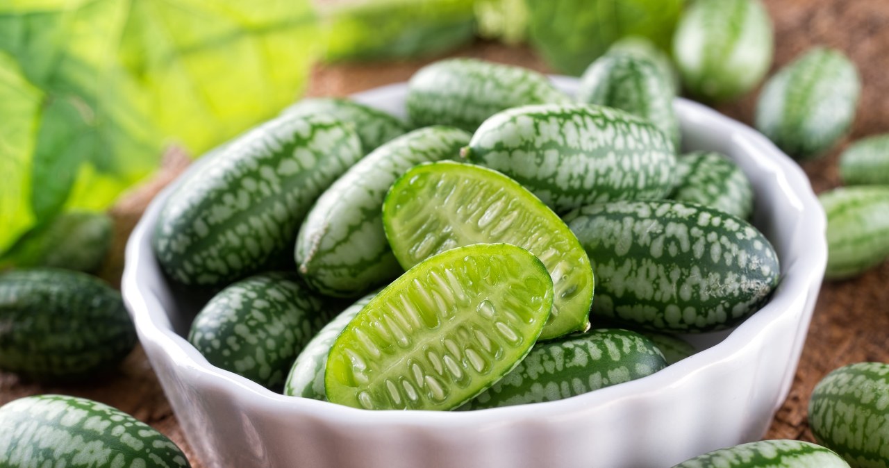 "Mysi melon” to nowy żywieniowy hit. Sprawdź, dlaczego warto go jeść