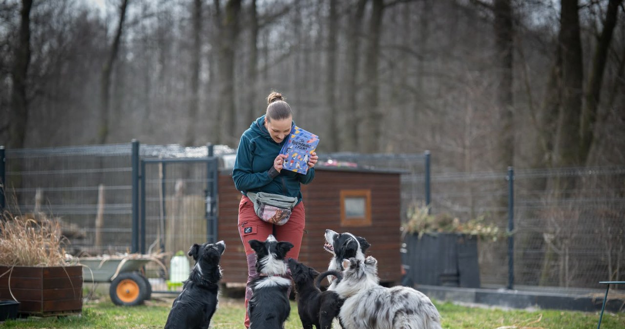 Jeśli tego nie zmienimy, pogryzień będzie więcej. Katarzyna Harmata apeluje