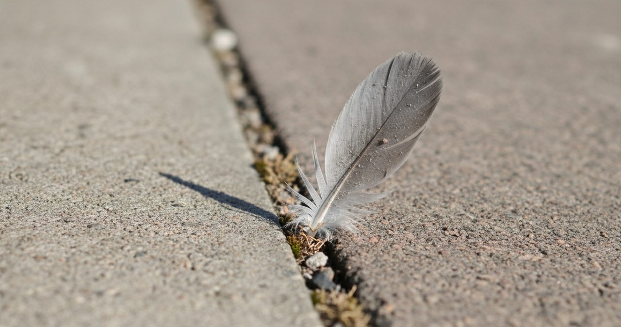 Znalazłeś je przypadkiem? Będziesz mieć szczęścia co niemiara