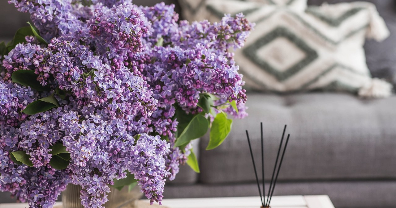 Mieszam i stawiam w salonie. Goście pytają, skąd ten wiosenny zapach