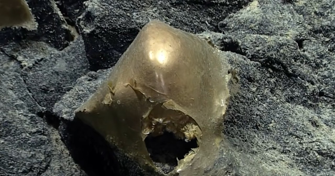 Tajemnicza "złota kula" z głębin Alaski zidentyfikowana po 2 latach