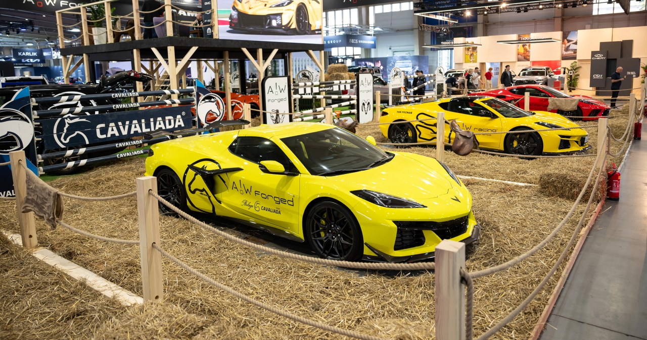 Ruszył Poznań Motor Show. Wysyp nowości w halach MTP