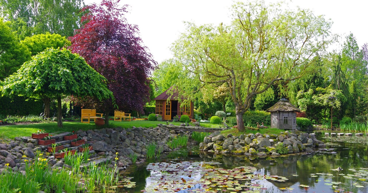 Ogród, który wygląda jak z bajki. Znajduje się rzut beretem od Kołobrzegu