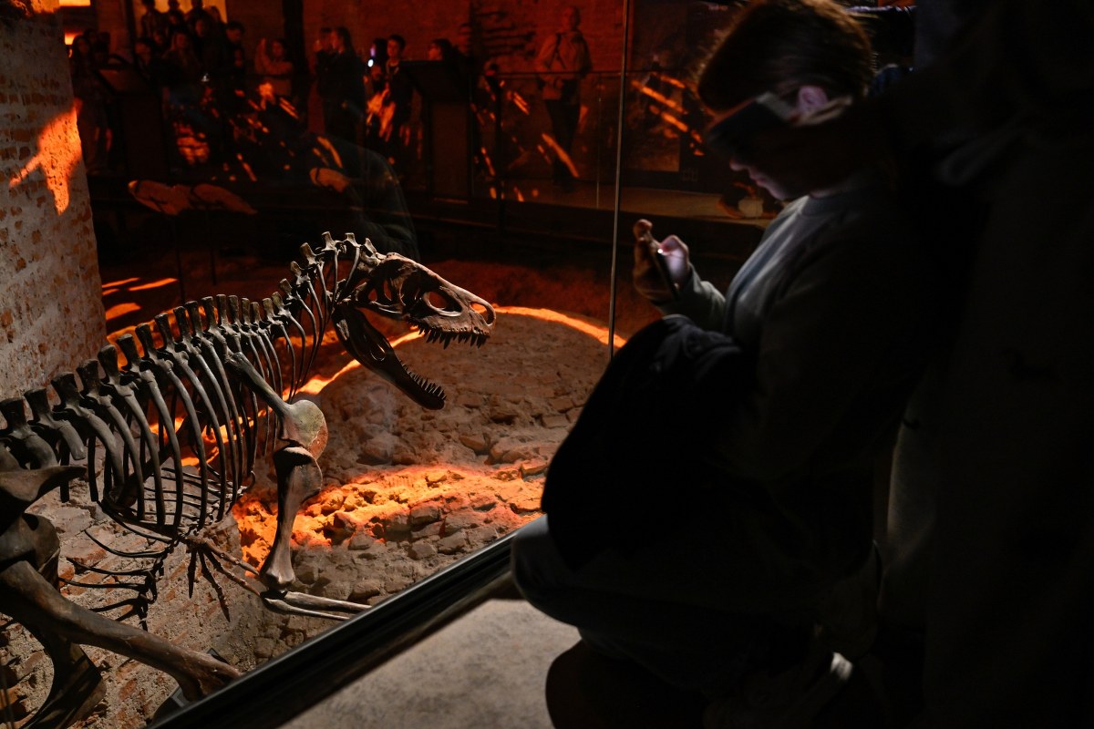 Smocza Jama w nowej odsłonie. "Staraliśmy się bazować na niedopowiedzeniu"