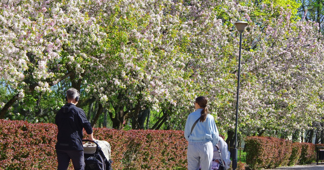 Moda się zmienia, imiona też. Rodzice w Małopolsce zaskakują pomysłami