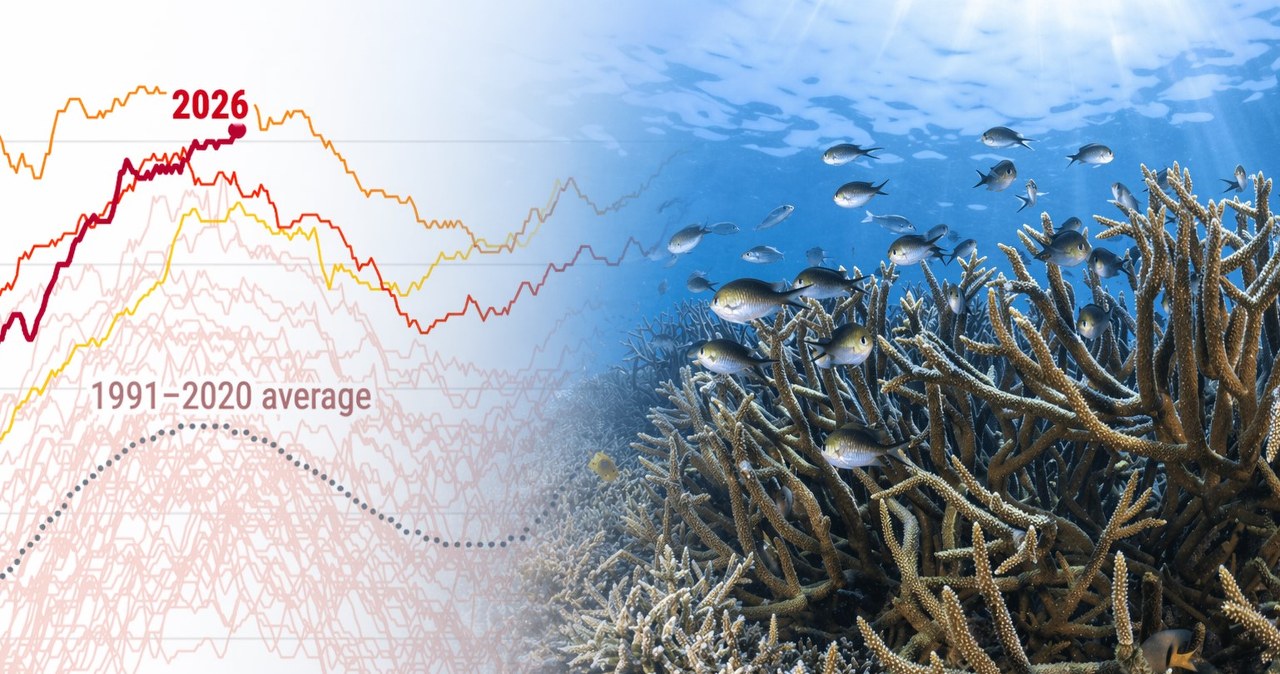 El Niño rośnie w siłę. Może poważnie wpłynąć na pogodę w wielu miejscach