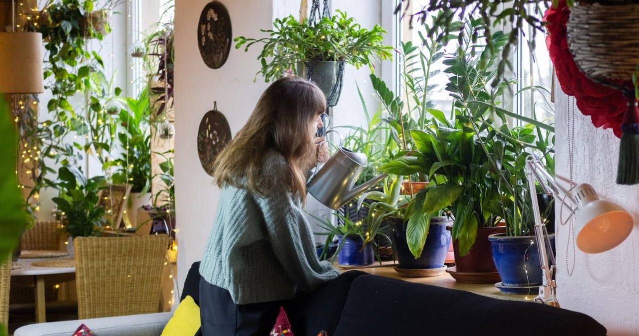 Efekt "dżungli" to hit wnętrzarski. Z tymi roślinami stworzysz go bez trudu