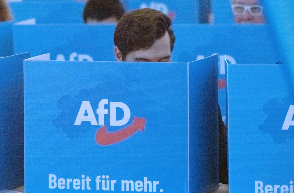 "Prawicowy populizm nie jest niezwyciężony". Tak chcą powstrzymać AfD?