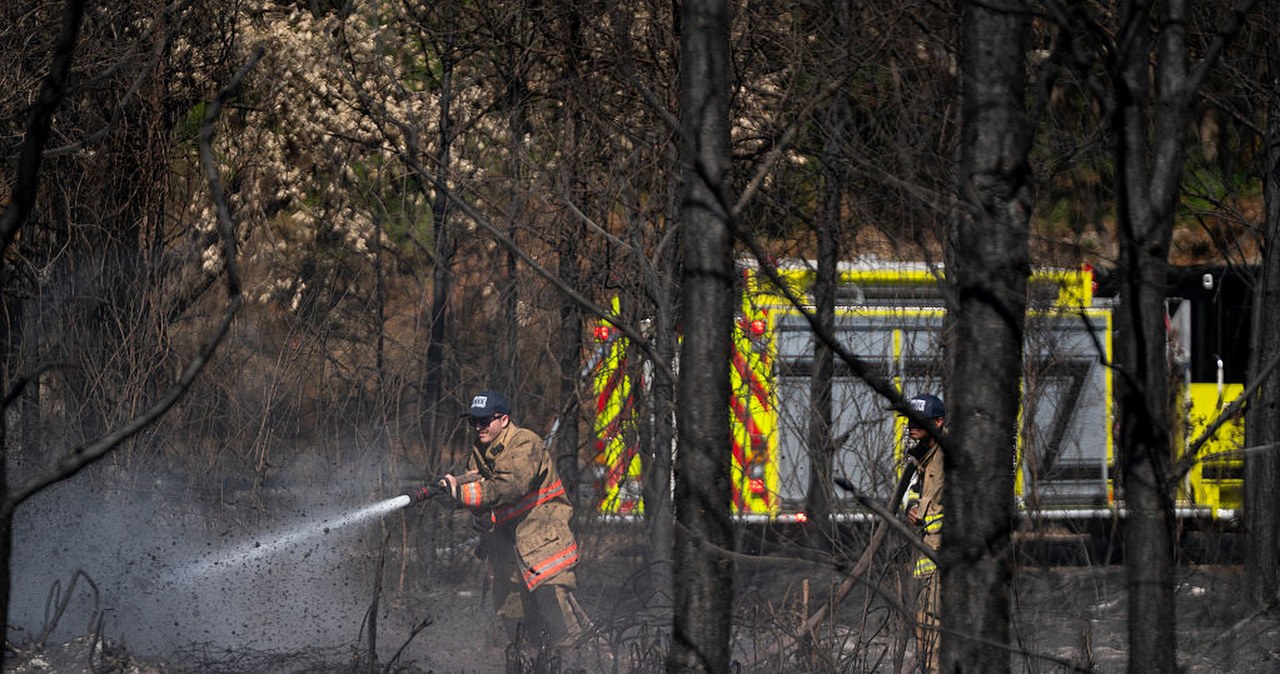 USA. Pożary na Florydzie i w Georgii. Nie żyje strażak