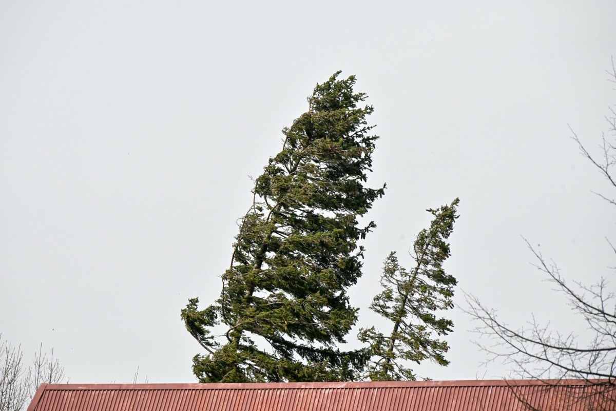 IMGW wydał alerty I i II stopnia dla 13 województw
