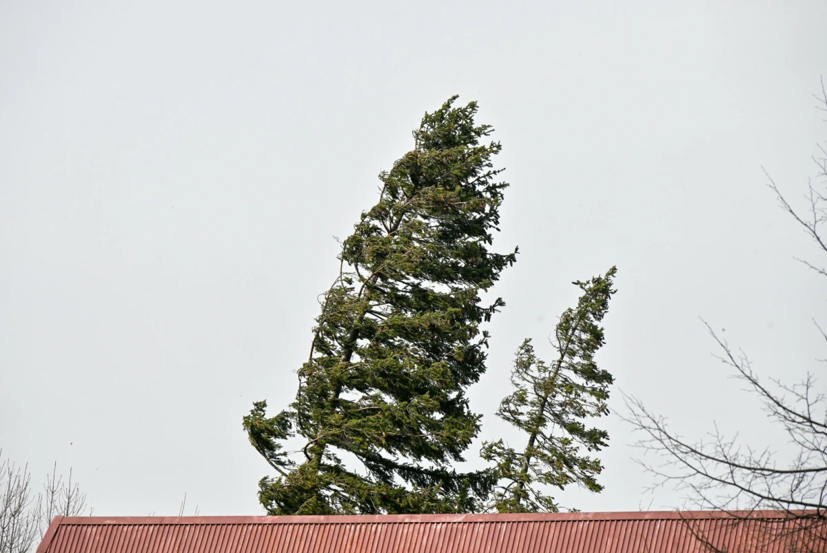 ​Instytut Meteorologii i Gospodarki Wodnej wydał alerty I i II stopnia przed silnym wiatrem na północy kraju oraz I stopnia w centralno-wschodniej Polsce. Ostrzeżenia obejmują 13 województw. Dla rejonu Wybrzeża i części woj. małopolskiego wydano również alert RCB.