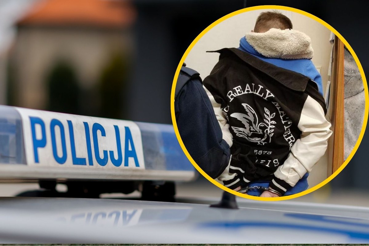 Ojciec uprowadził 4-letnią córkę podczas spaceru. Policjantów zaatakował siekierą