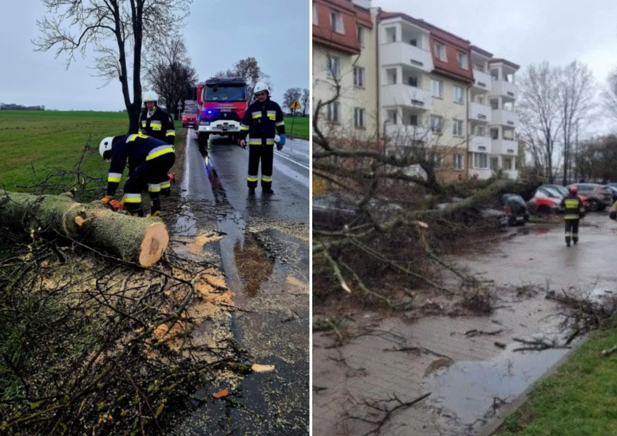 "W związku z silnym wiatrem, który przechodzi nad Polską, służby podległe MSWiA pozostają w pełnej gotowości" - napisano w komunikacie wydanym przez MSWiA. Państwowa Straż Pożarna interweniowała w sobotę 126 razy, usuwając skutki wichur przechodzących nad Polską. 