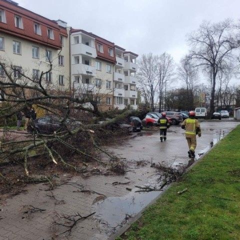 /Ministerstwo Spraw Wewnętrznych i Administracji /