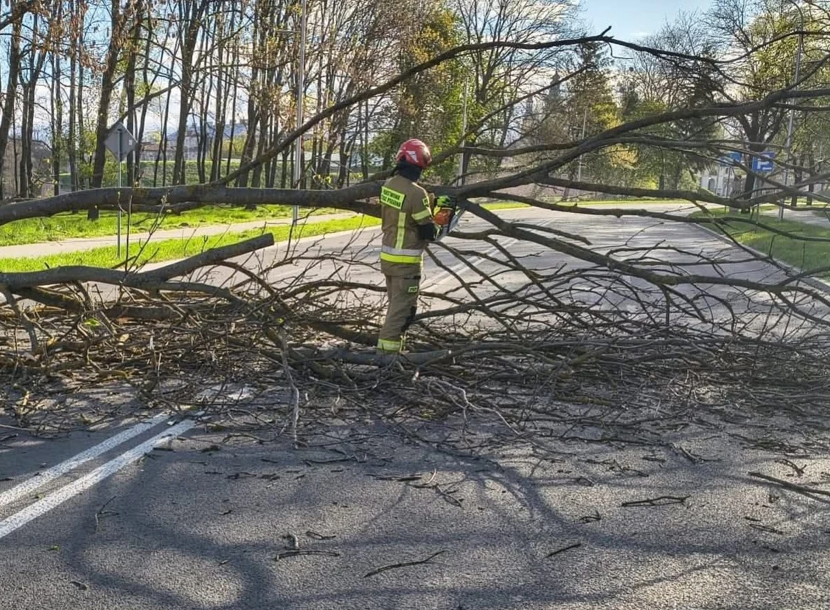 ​Państwowa Straż Pożarna w związku z silnym wiatrem interweniowała w niedzielę 2387 razy. Najwięcej interwencji miało miejsce w woj. mazowieckim, lubelskim, podlaskim i warmińsko-mazurskim. IMGW wydał ostrzeżenia przed przymrozkami.