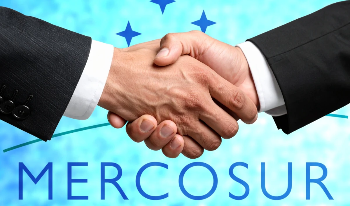 Od 1 maja od razu wjedzie na unijny rynek więcej bezcłowej wołowiny z Mercosur, niż informowano do tej pory. W dodatku Bruksela oddała unijną suwerenność handlową krajom Ameryki Południowej, przekazując Brazylii czy Argentynie kontrolę nad tym, kto będzie eksportować wołowinę do UE.