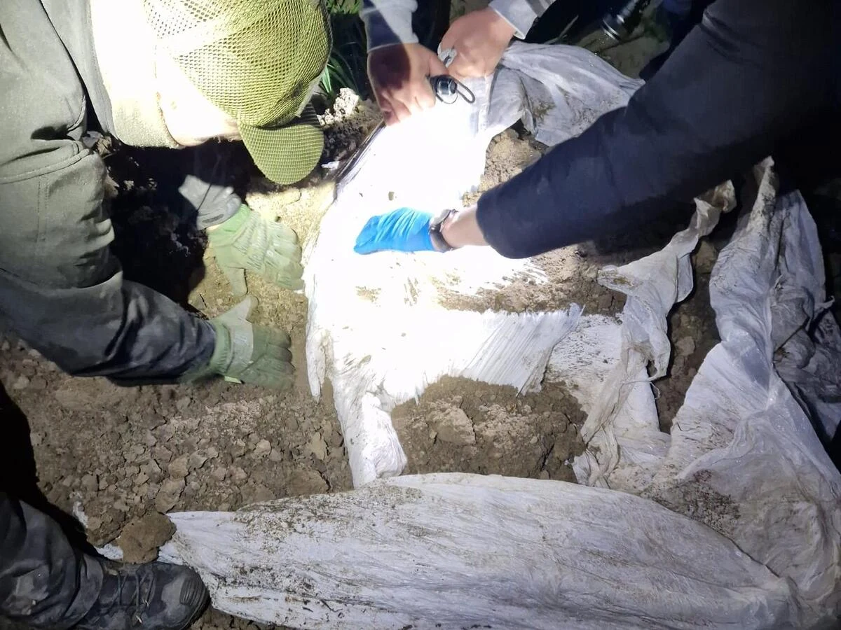 Mieszkaniec powiatu wysokomazowieckiego (woj. podlaskie) najbliższe trzy miesiące spędzi w areszcie. Funkcjonariusze znaleźli na jego posesji ponad 4 tysiące paczek papierosów z przemytu, które nie posiadały polskich znaków akcyzy. Były ukryte między innymi w stodole i pod ziemią. Wprowadzenie ich na rynek naraziłoby Skarb Państwa na stratę przekraczającą 145 tysięcy złotych.